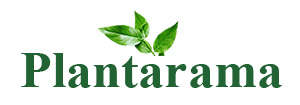 Plantarama.com